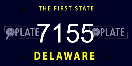 7155 Delaware License Plate
