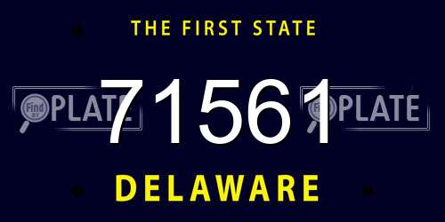 71561 Delaware License Plate