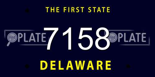 7158 Delaware License Plate
