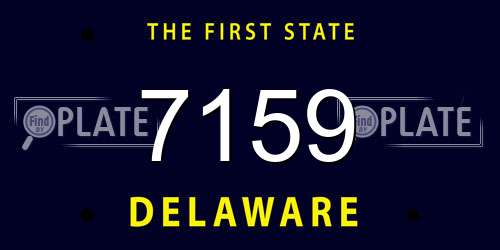 7159 Delaware License Plate