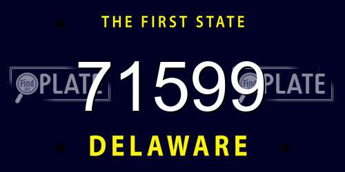 71599 Delaware License Plate
