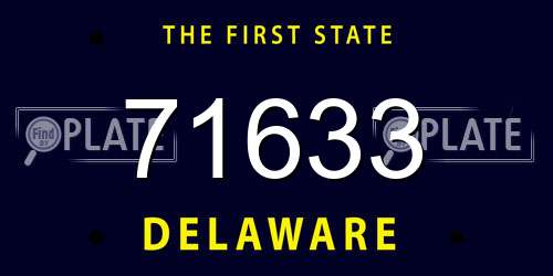 71633 Delaware License Plate
