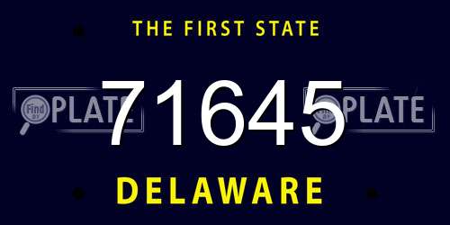 71645 Delaware License Plate
