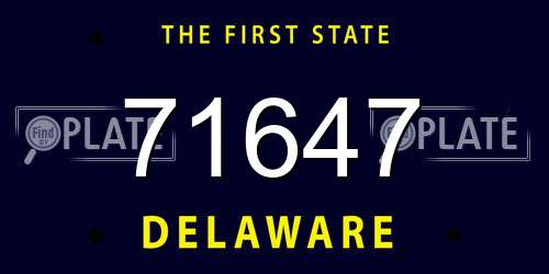71647 Delaware License Plate