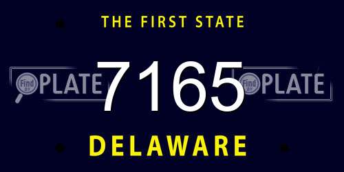 7165 Delaware License Plate