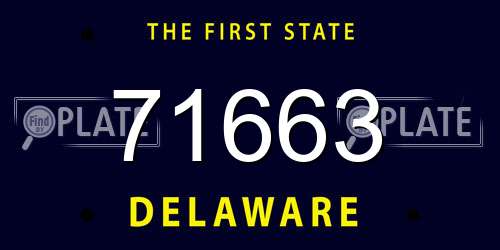 71663 Delaware License Plate
