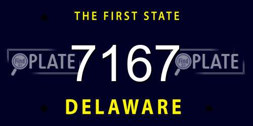 7167 Delaware License Plate