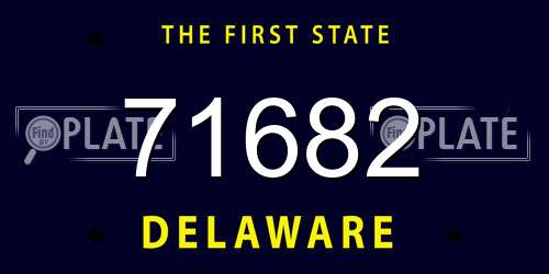 71682 Delaware License Plate