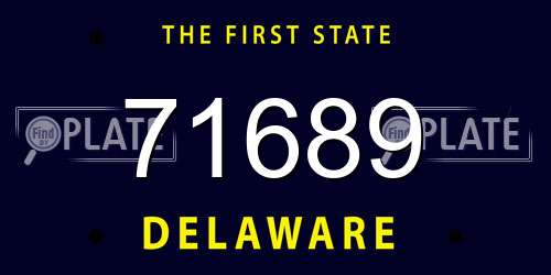 71689 Delaware License Plate