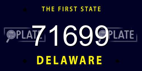 71699 Delaware License Plate
