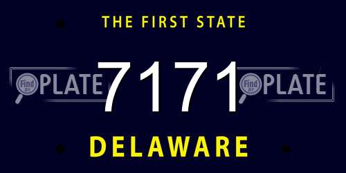 7171 Delaware License Plate