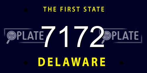 7172 Delaware License Plate