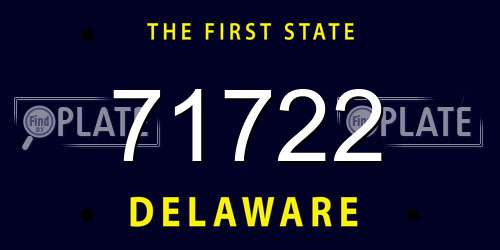 71722 Delaware License Plate