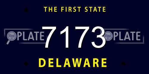 7173 Delaware License Plate