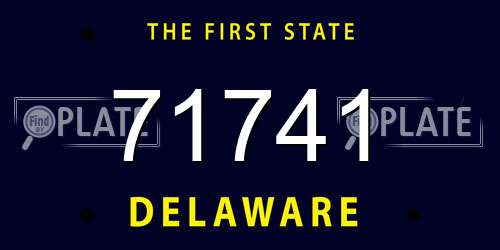 71741 Delaware License Plate