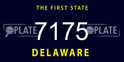 7175 Delaware License Plate