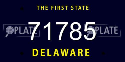 71785 Delaware License Plate