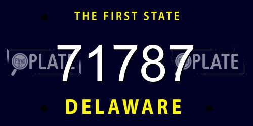 71787 Delaware License Plate