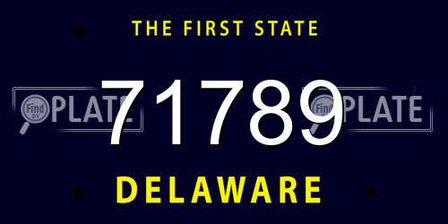 71789 Delaware License Plate