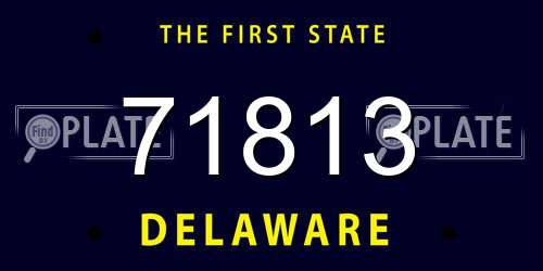 71813 Delaware License Plate