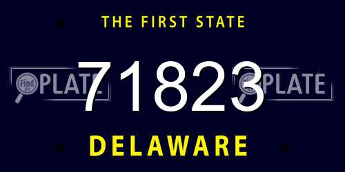 71823 Delaware License Plate