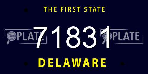 71831 Delaware License Plate