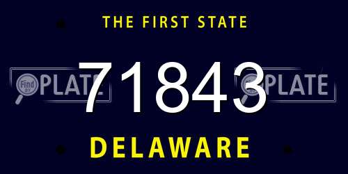 71843 Delaware License Plate