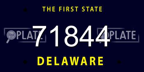 71844 Delaware License Plate