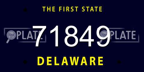 71849 Delaware License Plate