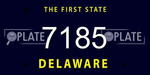 7185 Delaware License Plate