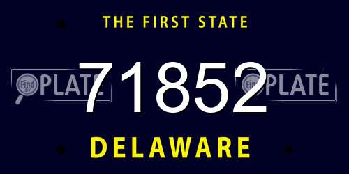 71852 Delaware License Plate