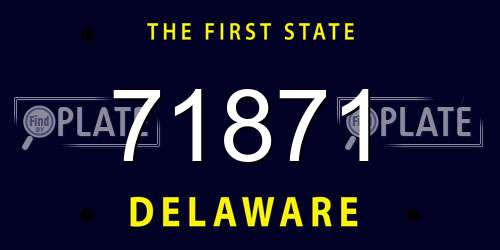71871 Delaware License Plate