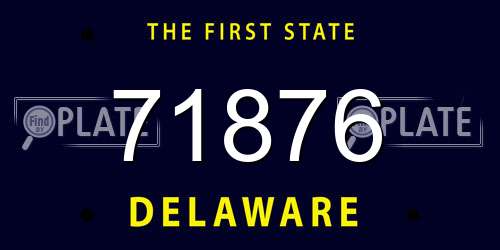 71876 Delaware License Plate