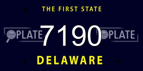 7190 Delaware License Plate