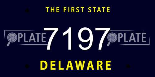 7197 Delaware License Plate