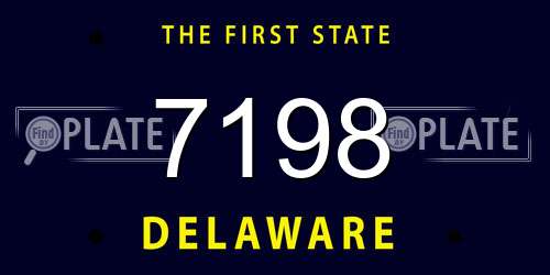 7198 Delaware License Plate