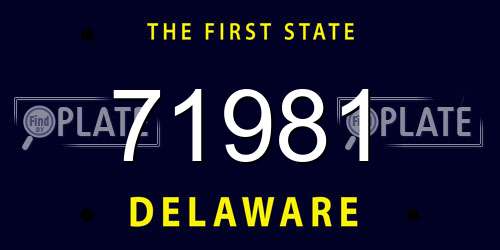 71981 Delaware License Plate