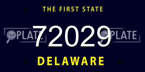 72029 Delaware License Plate