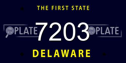 7203 Delaware License Plate