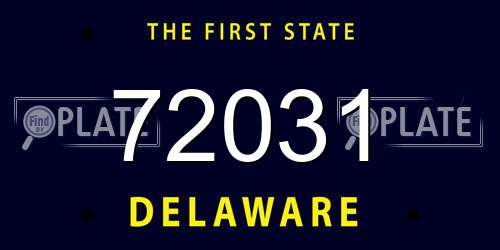 72031 Delaware License Plate