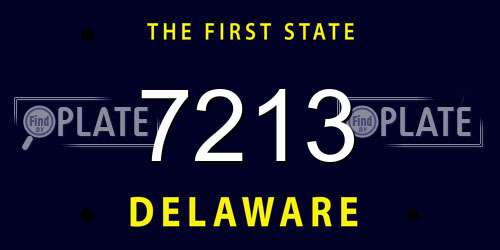 7213 Delaware License Plate