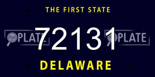 72131 Delaware License Plate