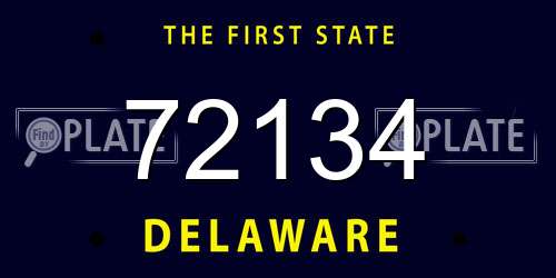 72134 Delaware License Plate