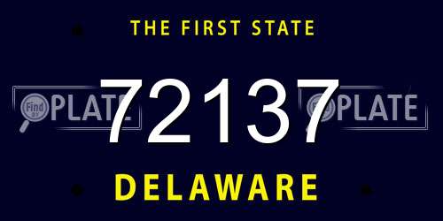72137 Delaware License Plate