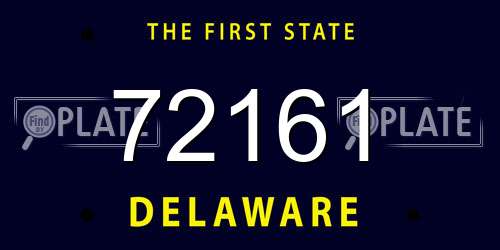 72161 Delaware License Plate