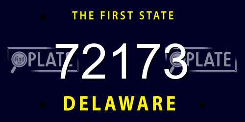 72173 Delaware License Plate