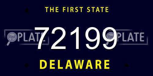 72199 Delaware License Plate