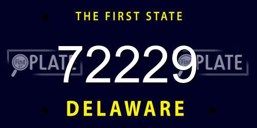 72229 Delaware License Plate