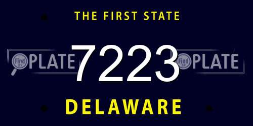 7223 Delaware License Plate