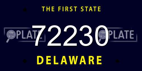 72230 Delaware License Plate